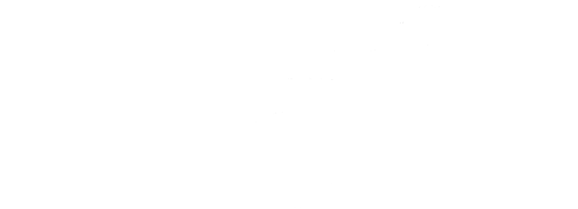 Silver-Leaf-Investment-Advisors-Logo